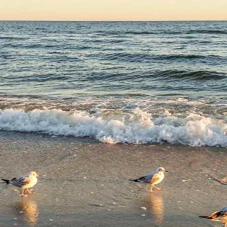 Lovely In Apartament Jezierzany