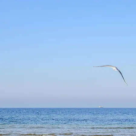 Lovely In Apartament Jezierzany