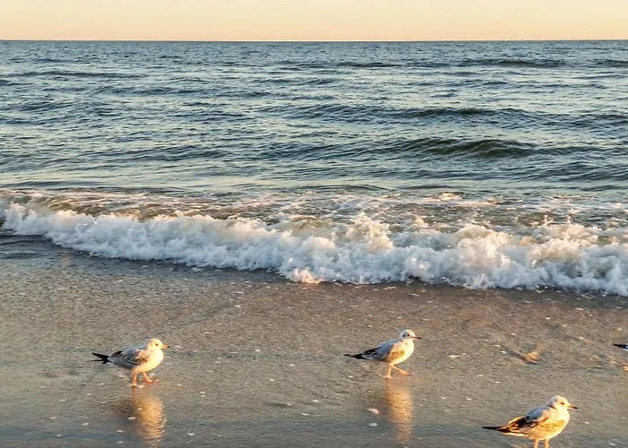 Lovely In Apartman Jezierzany